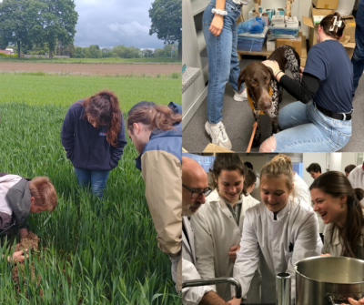 Se lancer dans un Bachelier agronomique ?